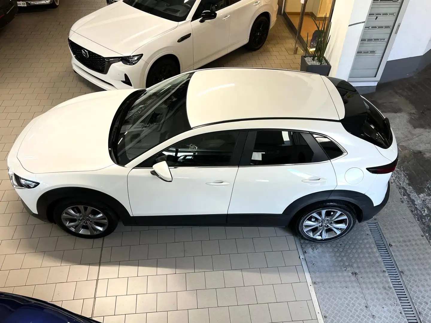 Mazda CX-30 CX-30 2.0 m-hybrid Executive 2wd 150cv Tagliandata Bianco - 2