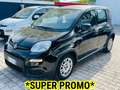 Fiat Panda Panda 1.0 firefly S&S PRONTA CONSEGNA SUPER PROMO Noir - thumbnail 1