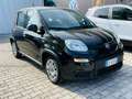 Fiat Panda Panda 1.0 firefly S&S PRONTA CONSEGNA SUPER PROMO Noir - thumbnail 2