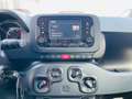 Fiat Panda Panda 1.0 firefly S&S PRONTA CONSEGNA SUPER PROMO Noir - thumbnail 11