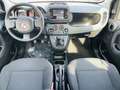 Fiat Panda Panda 1.0 firefly S&S PRONTA CONSEGNA SUPER PROMO Noir - thumbnail 5