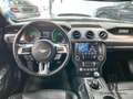 Ford Mustang GT 5.0l V8 Schalter/Premium/Service neu/ 20 Zoll Biały - thumbnail 13