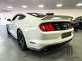 Ford Mustang GT 5.0l V8 Schalter/Premium/Service neu/ 20 Zoll Biały - thumbnail 6