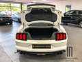 Ford Mustang GT 5.0l V8 Schalter/Premium/Service neu/ 20 Zoll White - thumbnail 10
