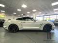 Ford Mustang GT 5.0l V8 Schalter/Premium/Service neu/ 20 Zoll Biały - thumbnail 9