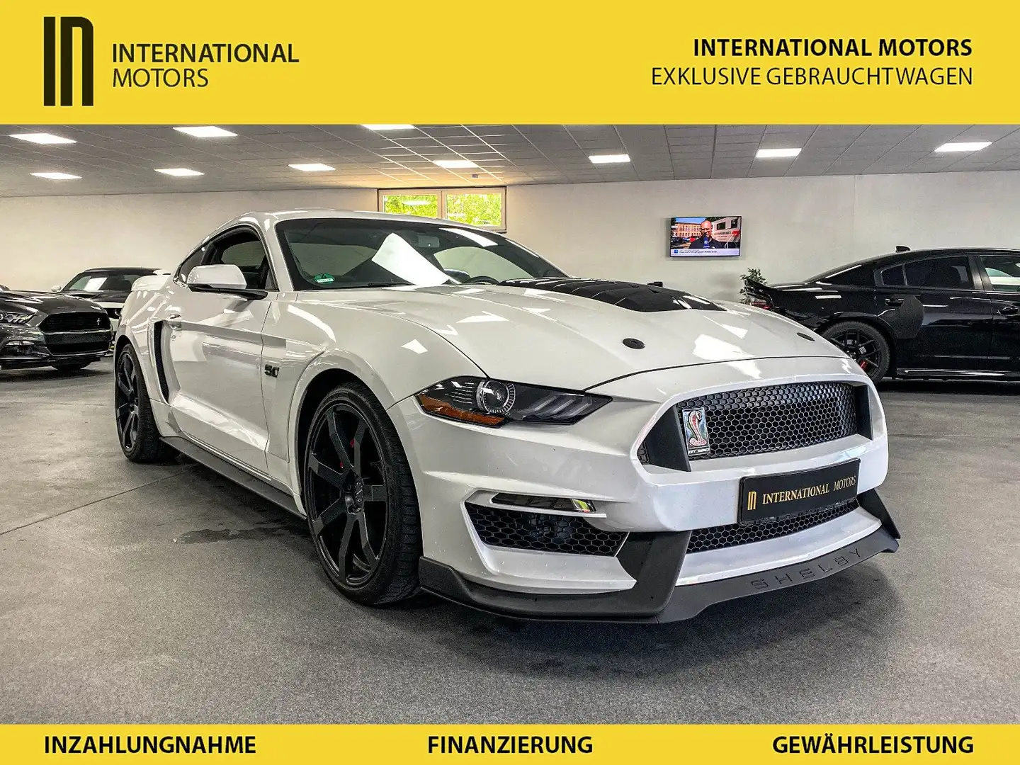 Ford Mustang GT 5.0l V8 Schalter/Premium/Service neu/ 20 Zoll Biały - 1