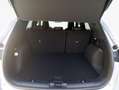 Ford Kuga 2.5 Duratec PHEV GRAPHITE TECH EDITION Grau - thumbnail 7