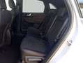 Ford Kuga 2.5 Duratec PHEV GRAPHITE TECH EDITION Grau - thumbnail 9