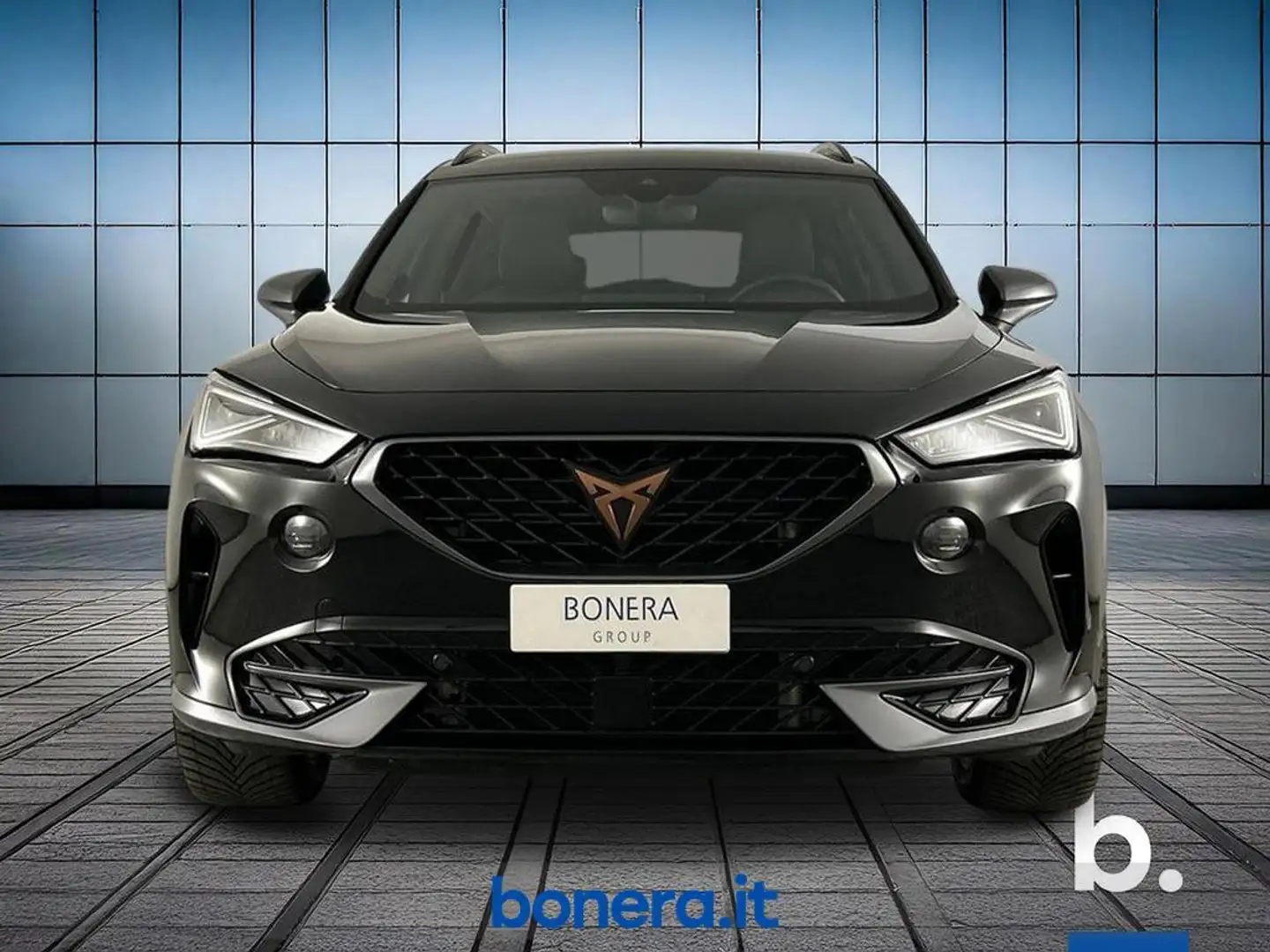 CUPRA Formentor 2.0 tsi 4drive 190cv dsg - 2