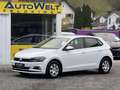 Volkswagen Polo Trendline 1.0 ERSTBESITZ *PICKERL BIS 07/2026 Weiß - thumbnail 1
