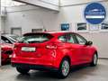 Ford Focus Lim. Trend *NEU ZAHNRIEMEN+SERVICE* Rot - thumbnail 4