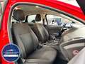 Ford Focus Lim. Trend *NEU ZAHNRIEMEN+SERVICE* Rot - thumbnail 16