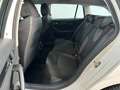 Skoda Octavia Combi 1.5 TSI Ambition SHZ AHK Climatronic PDC Fre Weiß - thumbnail 14