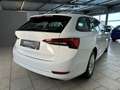 Skoda Octavia Combi 1.5 TSI Ambition SHZ AHK Climatronic PDC Fre Weiß - thumbnail 7