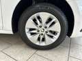 Skoda Octavia Combi 1.5 TSI Ambition SHZ AHK Climatronic PDC Fre Weiß - thumbnail 20