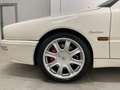 Maserati Quattroporte Maserati Quattroporte Evoluzione V8 | Limitiert! - thumbnail 8