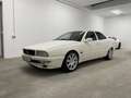 Maserati Quattroporte Maserati Quattroporte Evoluzione V8 | Limitiert! - thumbnail 1