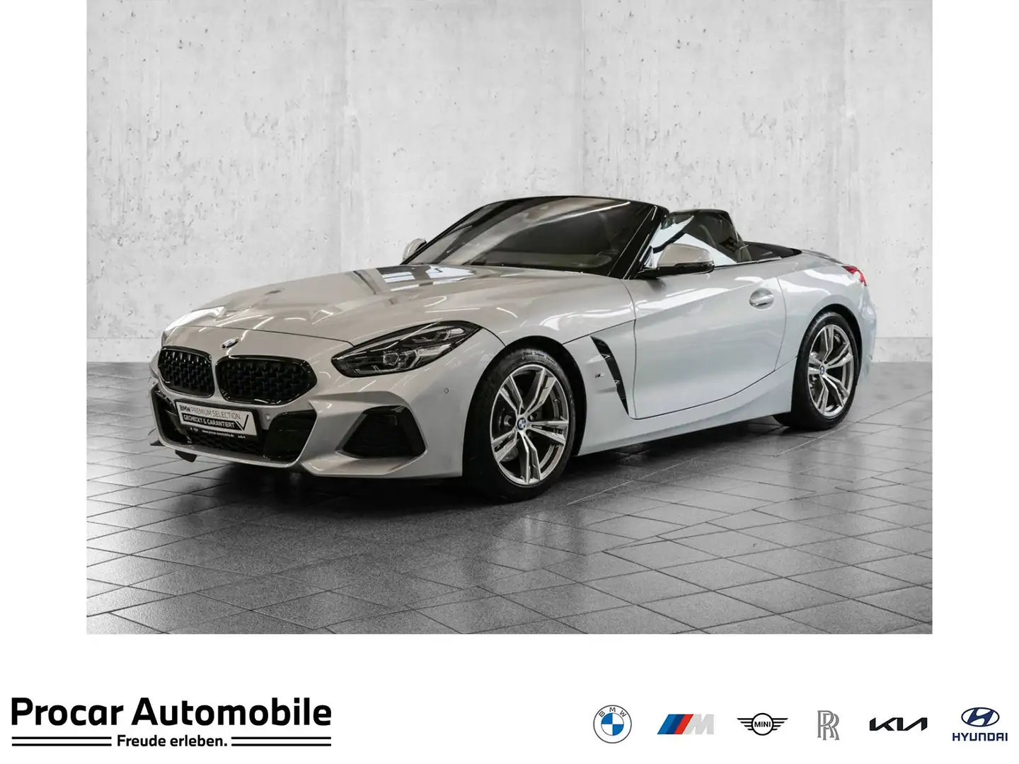 BMW Z4 sDrive20i M-Sport Nav LED h&k Parkass Shz Grijs - 1