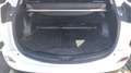 Toyota RAV 4 IV 2.5 VVTi 197 CVT Exclusive Blanc - thumbnail 14