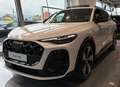 Audi SQ5 3.0TFSI Quattro Edition Plus /Tetto/B&O/Head-up Bianco - thumbnail 1