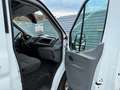 Ford Transit Transit Kasten 2,0 TDCi L3H2 350 DK Trend Blanc - thumbnail 22