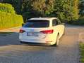 Audi A4 A4 Avant 2,0 TDI Weiß - thumbnail 23