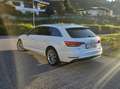Audi A4 A4 Avant 2,0 TDI Weiß - thumbnail 19