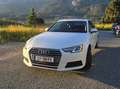 Audi A4 A4 Avant 2,0 TDI Weiß - thumbnail 17