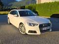 Audi A4 A4 Avant 2,0 TDI Weiß - thumbnail 22