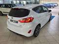 Ford Fiesta 5p 1.0 ecoboost ST-Line s Alb - thumbnail 6