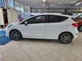 Ford Fiesta 5p 1.0 ecoboost ST-Line s Blanco - thumbnail 3