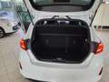 Ford Fiesta 5p 1.0 ecoboost ST-Line s Bianco - thumbnail 15
