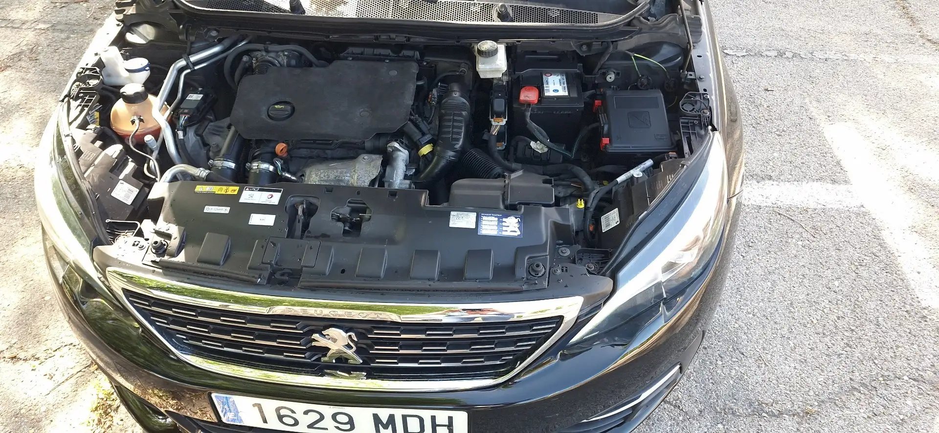 Peugeot 308 1.5BlueHDi S&S Business Line 130 - 2