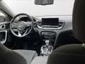 Kia Ceed / cee'd 1.5 T-GDI BL Sound Edition Grau - thumbnail 24