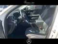 Mercedes-Benz C 200 d T AVANTG.ADV.PLUS+AHK+MEM.+STNDHZG.+DIST Blanc - thumbnail 23