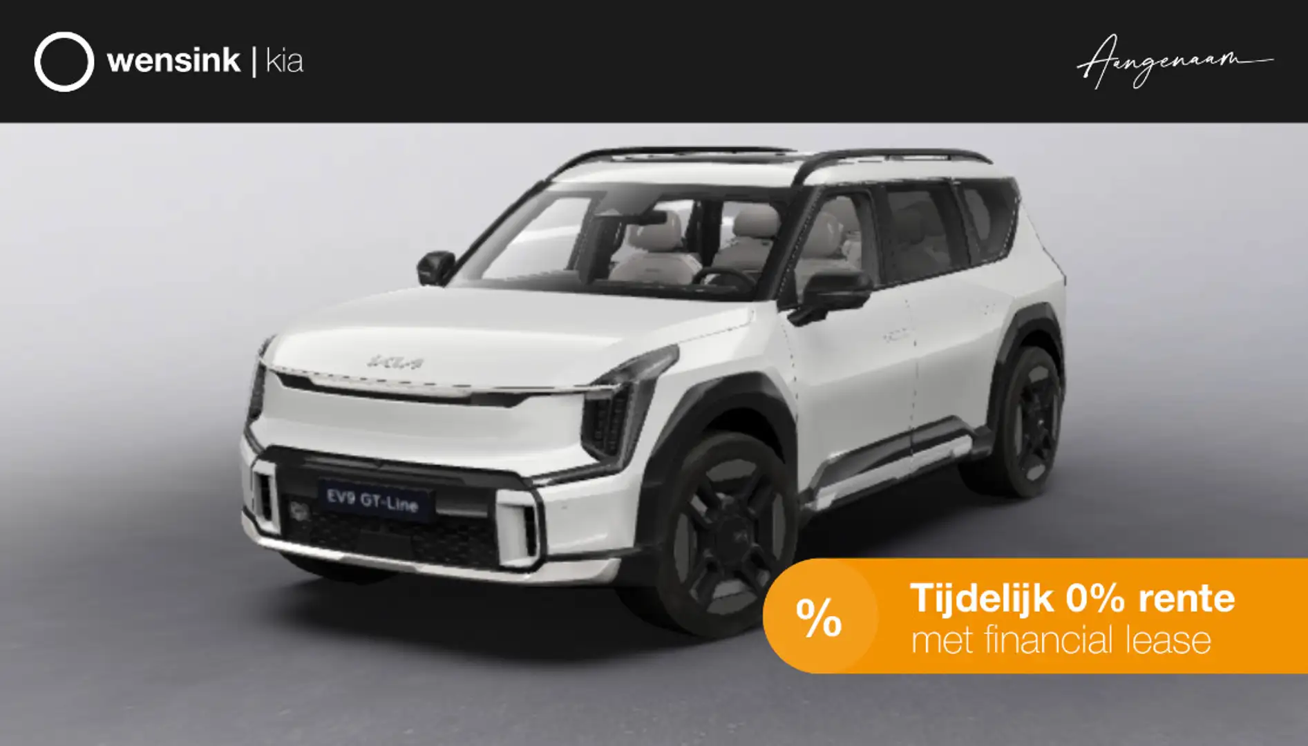 Kia EV9 GT-Line AWD 99.8 kWh | Betreft Ivory Silver Glossy Срібний - 1
