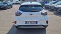 Ford Puma 1.0 ecoboost h titanium s&s 125cv Bianco - thumbnail 4