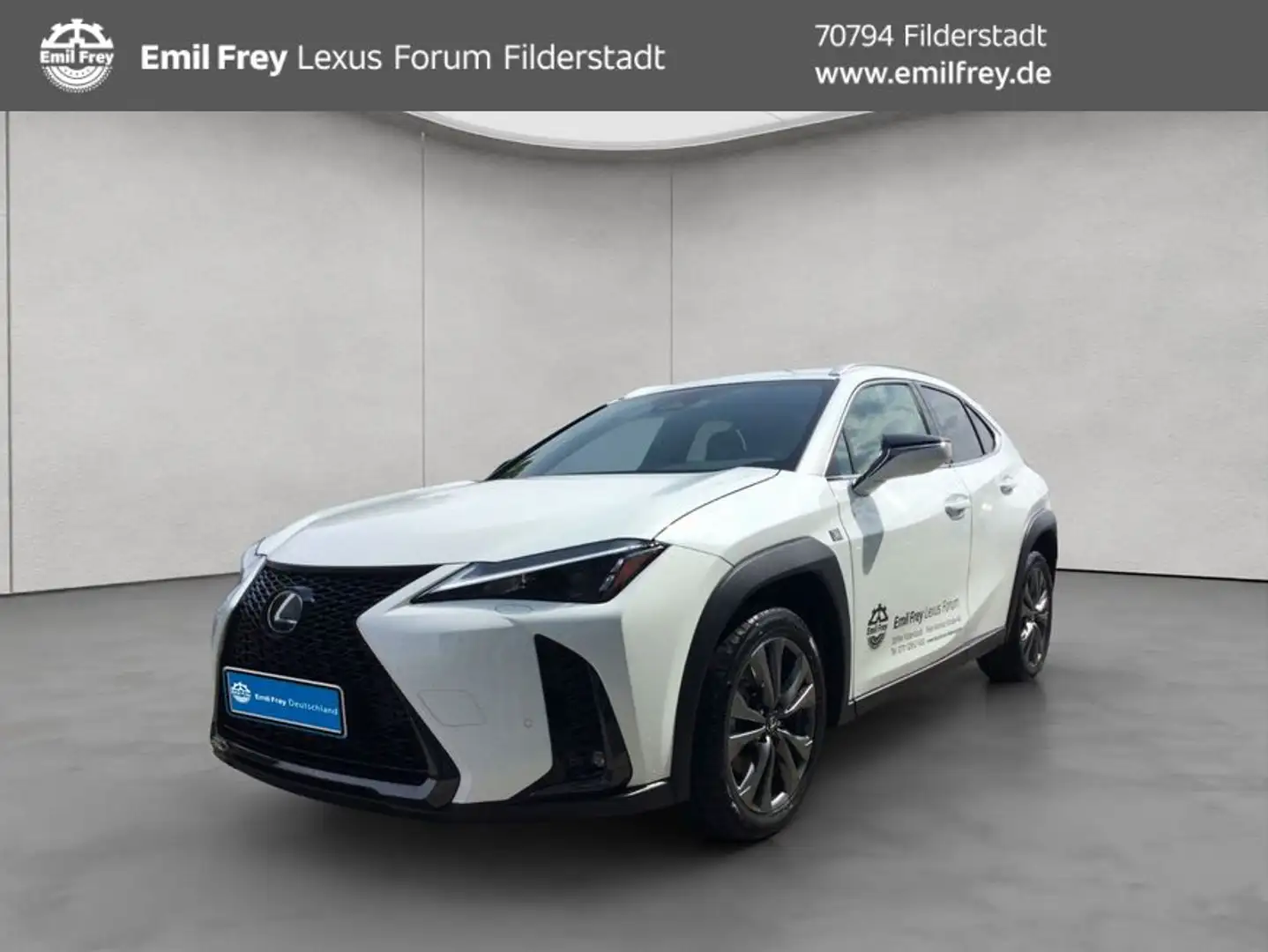 Lexus 300h F-Sport Design Weiß - 1