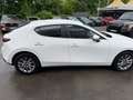 Mazda 3 SKYACTIV-G 2.0 M Hybrid AL-SELECTION - thumbnail 24