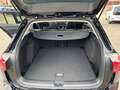 Volkswagen Golf VIII Variant 1.5 TSI 110 kW Goal,ASG,Panora Schwarz - thumbnail 10