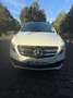 Mercedes-Benz V 220 V 220/250/300 d AVANTGARDE EDITION lang (447.813) Weiß - thumbnail 3
