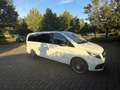 Mercedes-Benz V 220 V 220/250/300 d AVANTGARDE EDITION lang (447.813) Weiß - thumbnail 10