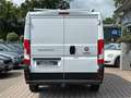 Fiat Ducato 120 L1H1 *Klima*AHK*Dachträger* - thumbnail 5