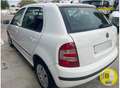 Skoda Fabia Fabia 1.4TDI Comfort 80 Comfort Blanco - thumbnail 5