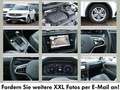 Volkswagen Tiguan Allspace 2.0 TDI DSG R-Line 4Motion AHK*ACC Weiß - thumbnail 6