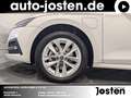 Skoda Octavia iV 1.4 TSI  LED Virtual CarPlay PDC Blanc - thumbnail 5