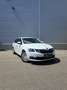 Skoda Octavia 2.0 TDI DPF Ambition 4x4 Weiß - thumbnail 2