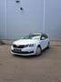 Skoda Octavia 2.0 TDI DPF Ambition 4x4 Weiß - thumbnail 1