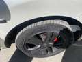Nissan Murano Murano II 2009 2.5 dci Tekna Wit - thumbnail 16
