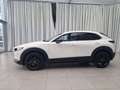 Mazda CX-30 2.5L G140PS 6AT 2WD HOMURA AUT Weiß - thumbnail 5